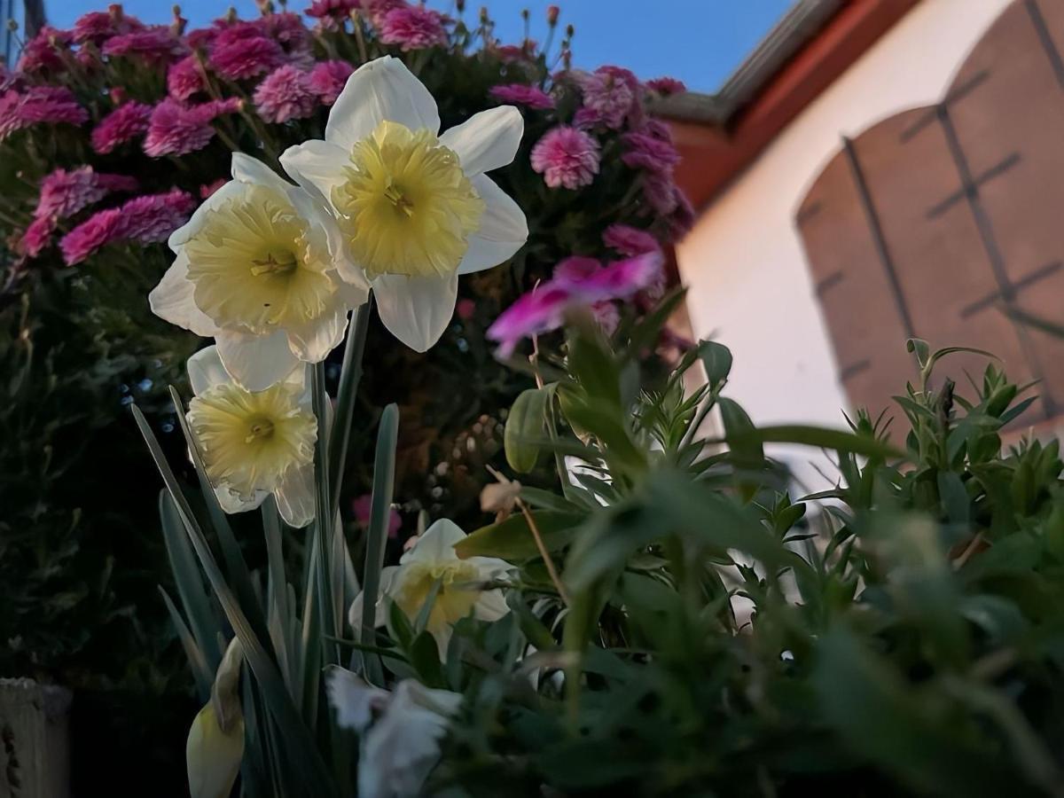 Casa Rural Vistablanca En Una Sola Planta Con Bonitas Vistas Y Piscina - Junto A La Capital Y La Alhambra Cenes De La Vega Exterior photo